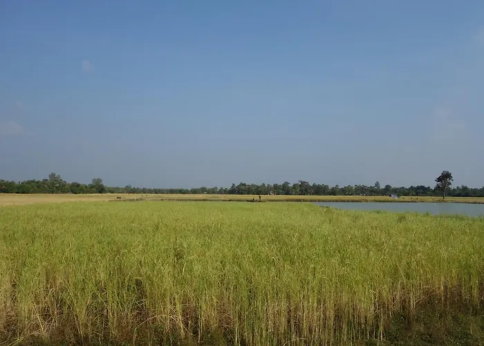 Gospodarstwo wiejskie Authentic Cambodian Angkor