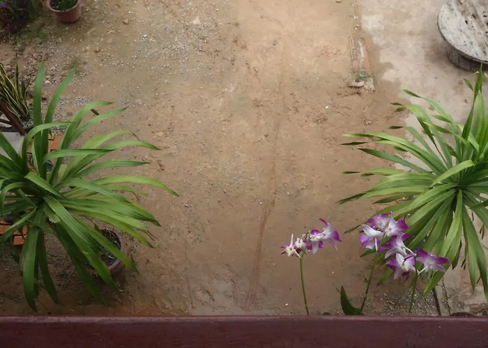 Authentic Cambodian Angkor * Siem Reap